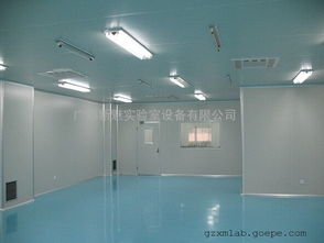 打造潔凈生產環境 食品廠十萬級凈化工程設計施工與萬級無塵室高清圖集解析